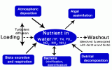 Modeling Nutrients in AQUATOX