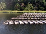 Floating bags are used to grow out oysters as part of the Lonnie’s Pond oyster aquaculture  demonstration project for nitrogen management in Orleans, MA. Photo credit: George Meservey