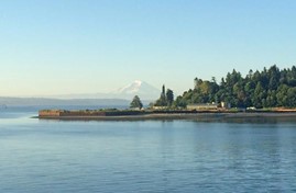 photograph of point of land extending into Eagle Harbor