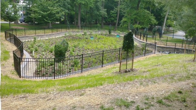 Stormwater pond in Washington, DC