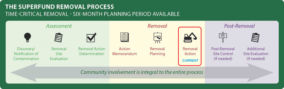 image of Viburnum FS removal timeline