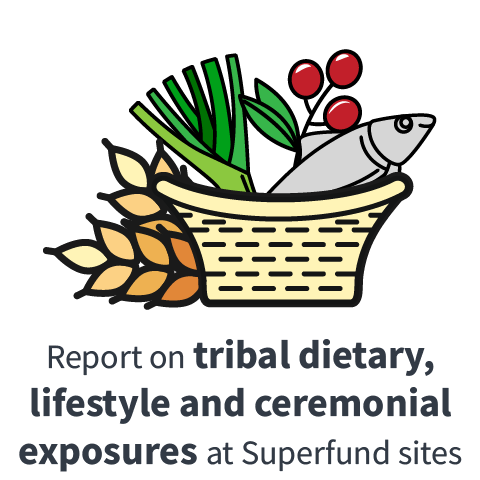 Report on tribal dietary, lifestyle and ceremonial exposures at Superfund sites