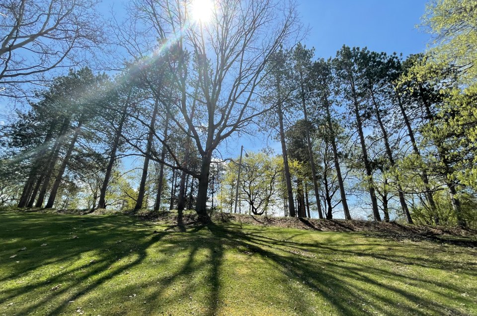 Tree filled city park in East Palestine