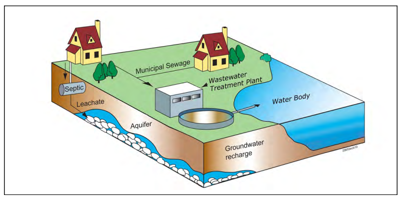 This is a diagram showing how medications would enter the environment if flushed down the toilet or sink