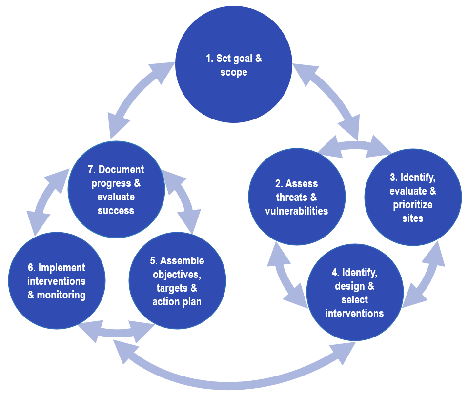 Adaptation Organon