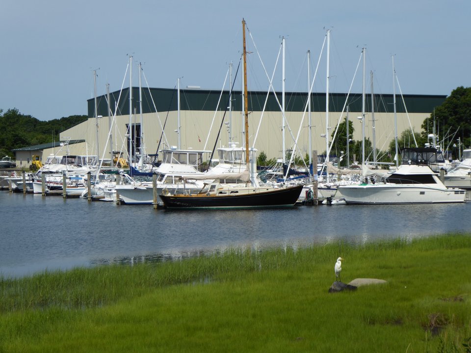 Boats sitting in a body of water with a building in the background and a grassy area with a bird in the foreground.