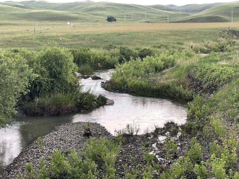 A stream running through a grassy field.