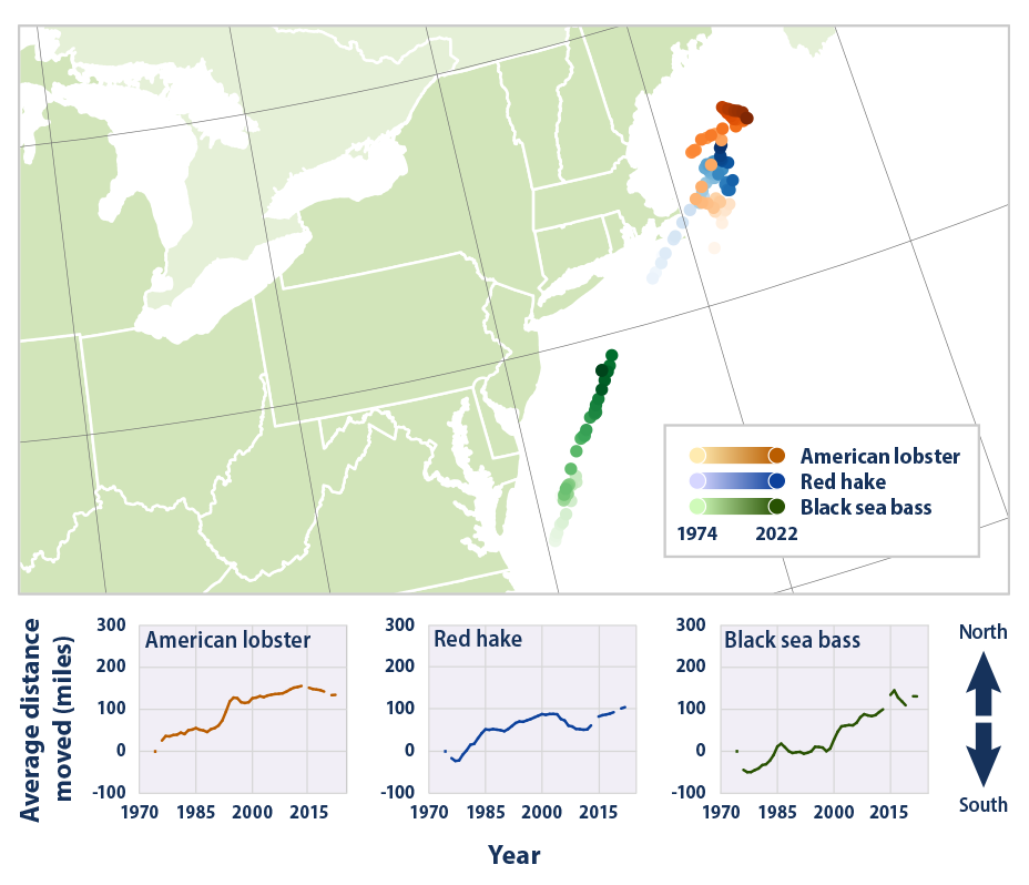 Map and line graphs showing the average locations of three fish and shellfish species in the Northeast from 1974 to 2022.