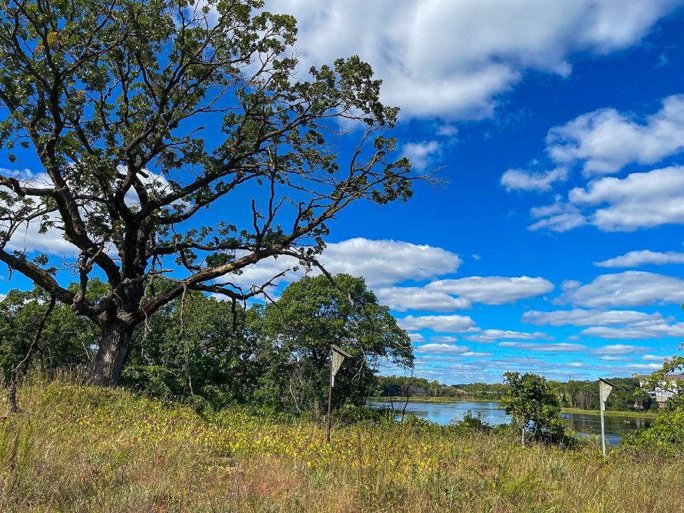 A grassy area with trees and a cloudy blue sky, and a body of water in the background.