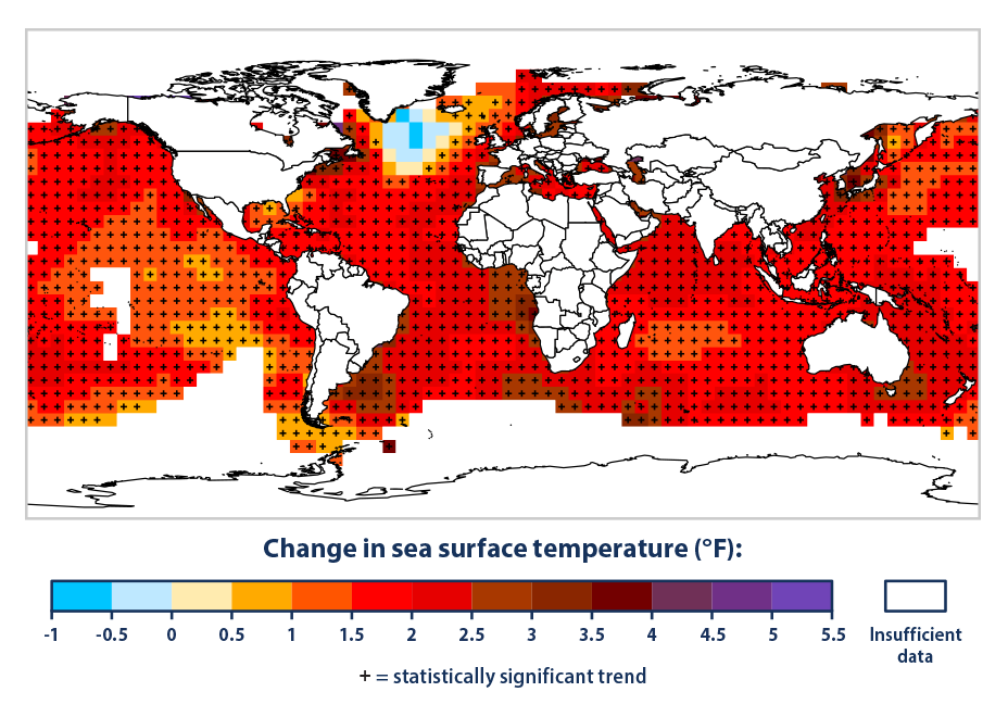 Color-coded map of the world showing changes in average sea surface temperature from 1901 to 2022.