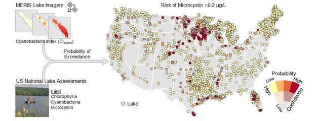 A map that shows the risk of microcystin across the U.S., determined by combining satellite data and U.S. National Lake Assessments.