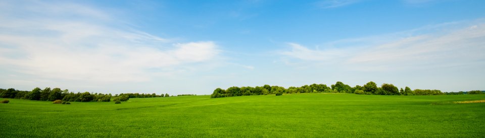 Sky and grass background banner