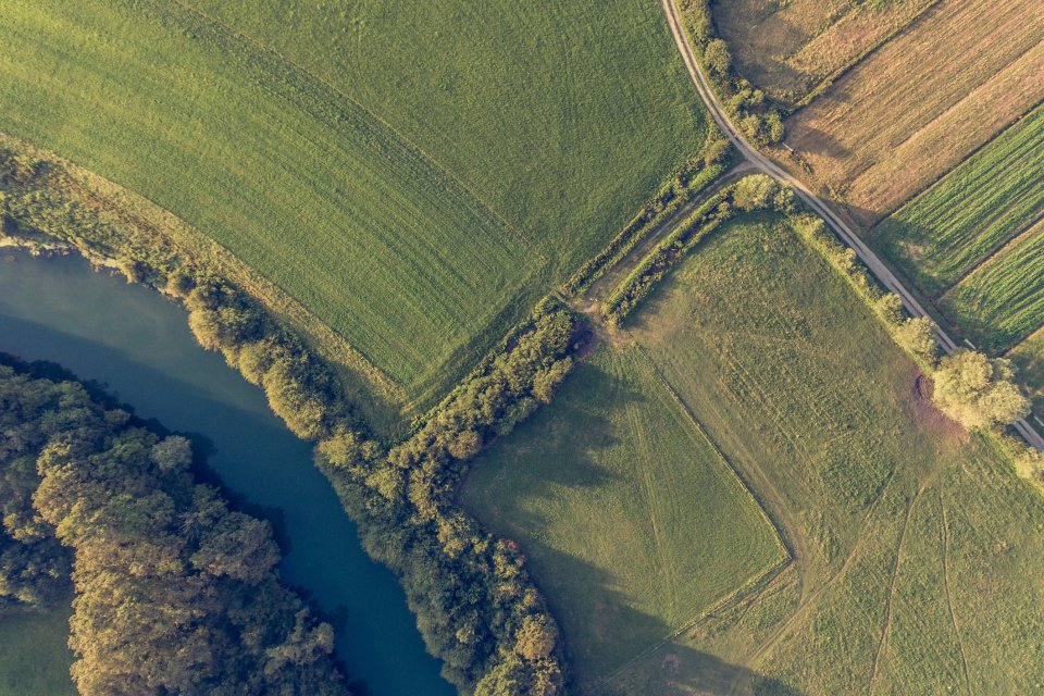 Aerial view of a green field