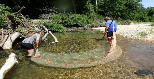 Two people stand in a stream holding a net in the water. Photo courtesy of Photo courtesy of Oklahoma Conservation Commission.