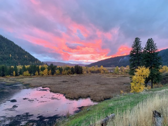 A purple and pink sunset across a tree-ridden landscape.