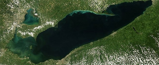 European Space Agency Envisat satellite image taken on Oct. 8, 2011, using its MERIS sensor, showing harmful algal bloom in the western basin of Lake Erie.