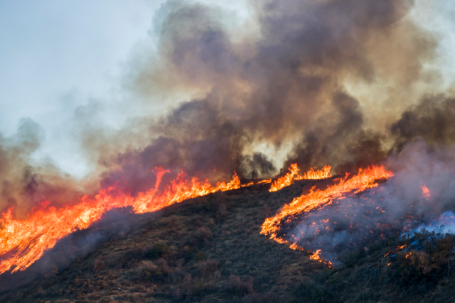 Wildfire with plumes of smoke.