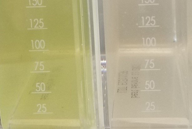 The flask on the left shows lake water with no glucose added and the flask on the right shows the water treated with glucose.