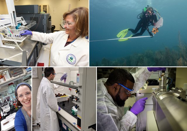 From top left to bottom right: EPA scientist analyzing environmental samples in a laboratory; an EPA diver studying coral; EPA researcher smiling at camera with microscopes in the background; researcher working under safety hood; researcher in lab working with equipment.