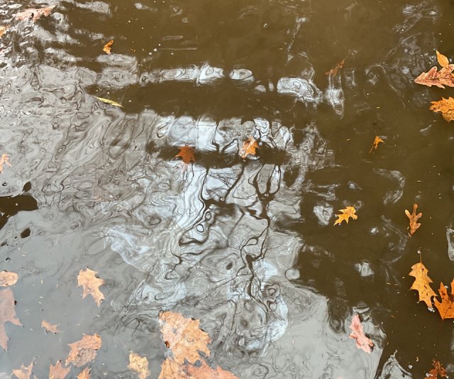 Medium sheen seen on water in Leslie Run creek