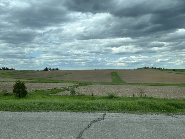 Figure 18. Multiple grassed waterways in a corn field in Illinois