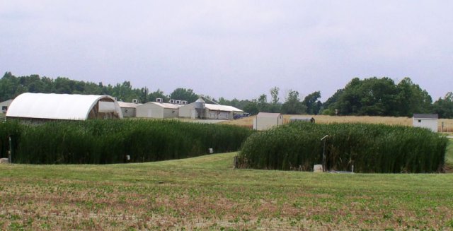 Figure 28. Constructed wetlands on a farm