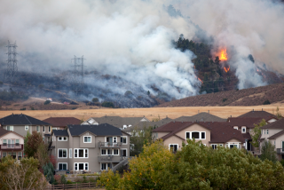 Wildfire near a neighborhood.