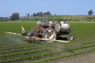 Tractor in a field