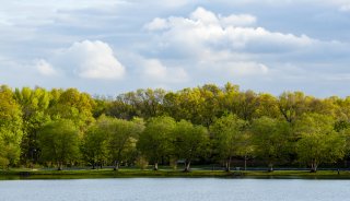 photo of lakeside scene on a nice day