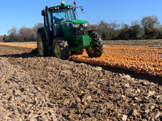 Image of a tractor plowing a field with produce. 