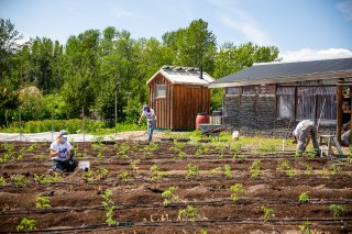 Photo of a group of students tending to a field at the University of Washington. 