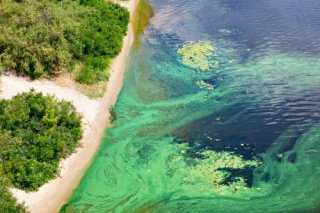 Aerial view of a tropical coastal landscape.