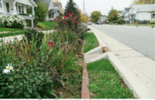 Rain garden installation with drainage from street