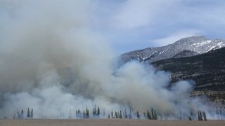 Landscape view of a forest fire with a large amount of smoke billowing from it.