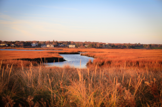 An image of a river running through a field of marshy grassland