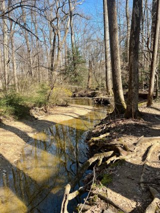 Erosion along a creek