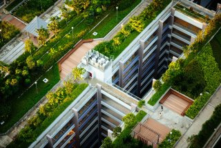 Rooftop gardens are an example of green infrastructure