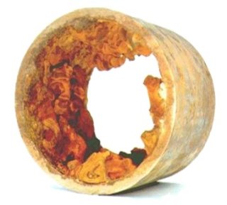 Cross section of an iron water distribution pipe with tuberculation due to corrosion