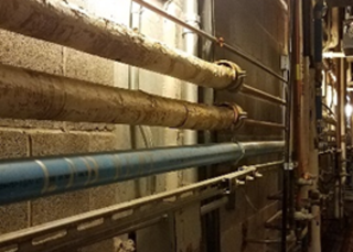 Four rows of drinking water premise plumbing pipes running along the length of a cement wall.