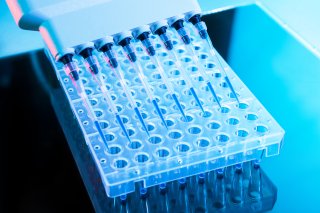 stock image of a needle and test tubes in a laboratory