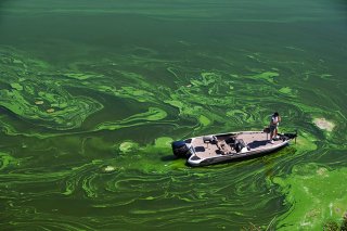 photo of a small fishing boat in a lake surrounded by a HABs breakout in the water, bright green algae mixed in with dark green lake water 