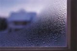 condensation on a window