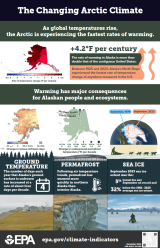 Illustrations and summary statistics on the changing Arctic climate. 